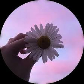 banner-image