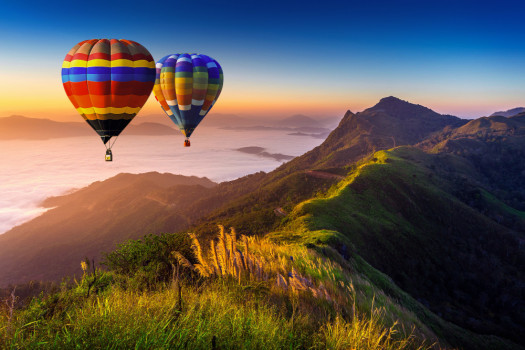 banner-image