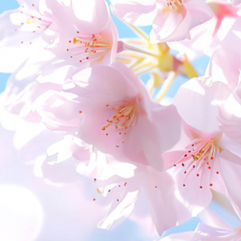 banner-image