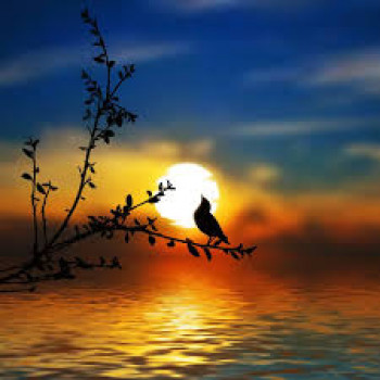 banner-image