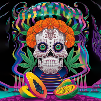 banner-image