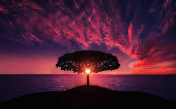 banner-image