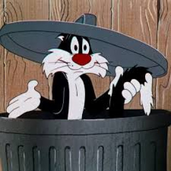 banner-image