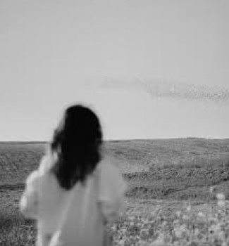 banner-image