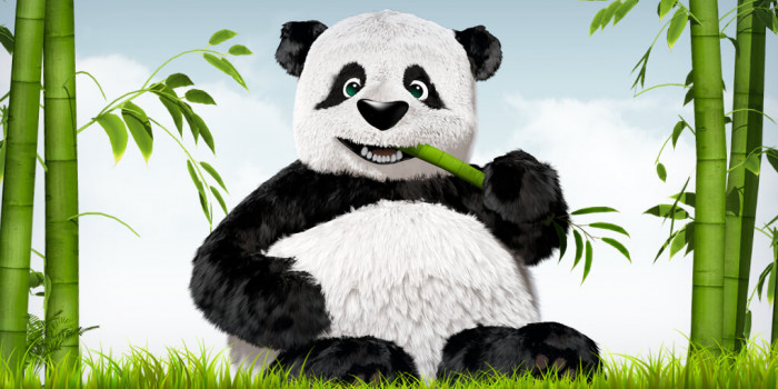 banner-image