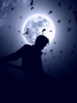 banner-image