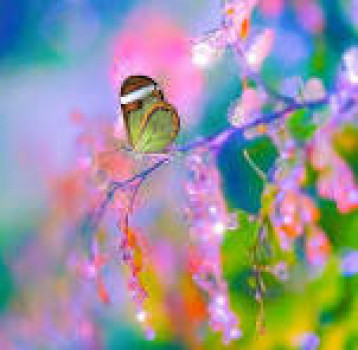 banner-image