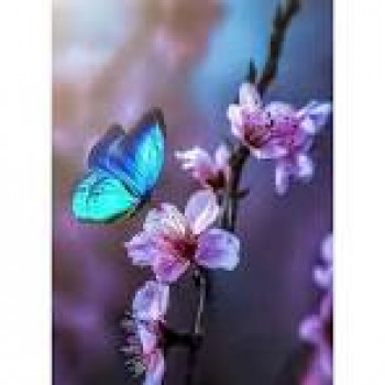 banner-image