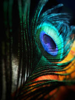 banner-image
