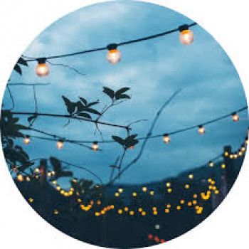banner-image