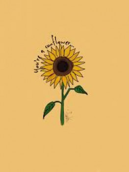 banner-image