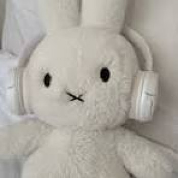 banner-image