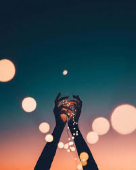 banner-image