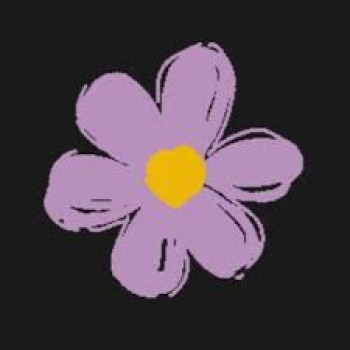 banner-image