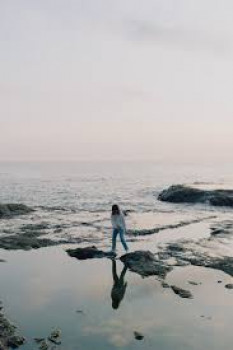 banner-image