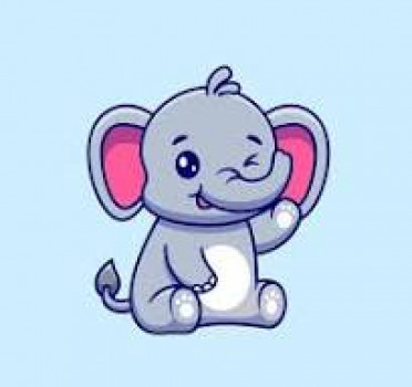 banner-image
