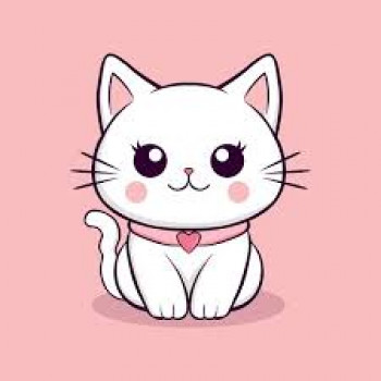 banner-image