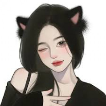 banner-image
