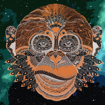 banner-image