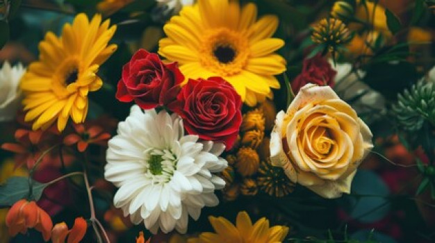 banner-image