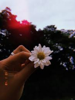banner-image