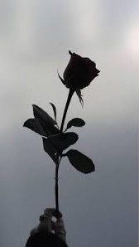 banner-image