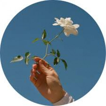 banner-image