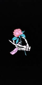 banner-image