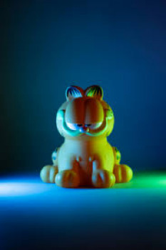 banner-image
