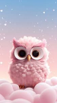 banner-image