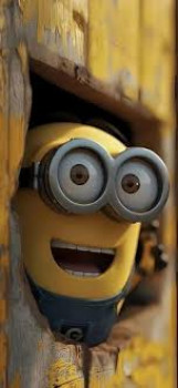 banner-image