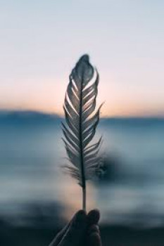 banner-image
