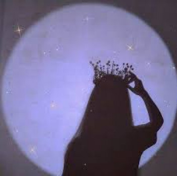banner-image