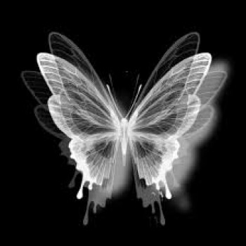 banner-image