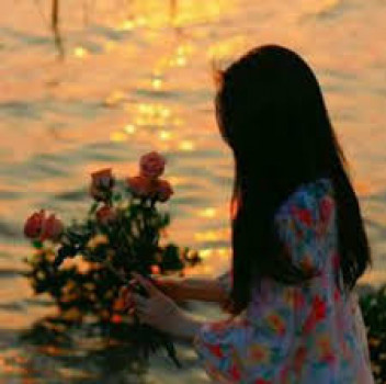 banner-image