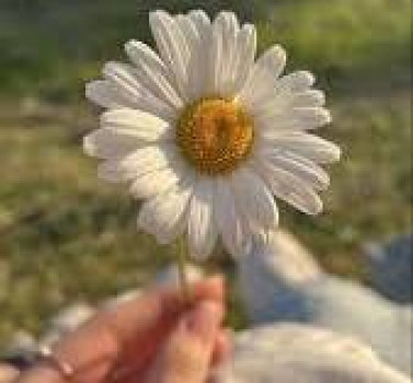 banner-image