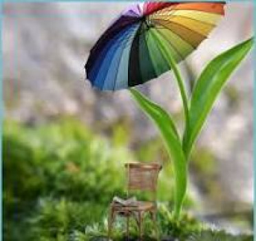 banner-image
