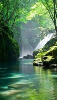banner-image