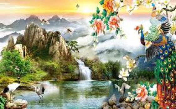 banner-image